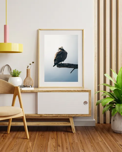 An Osprey Perch wall display