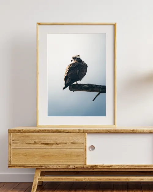 An Osprey Perch mockup