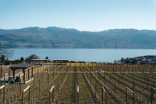 Quails Gate Winery photography Kelowna