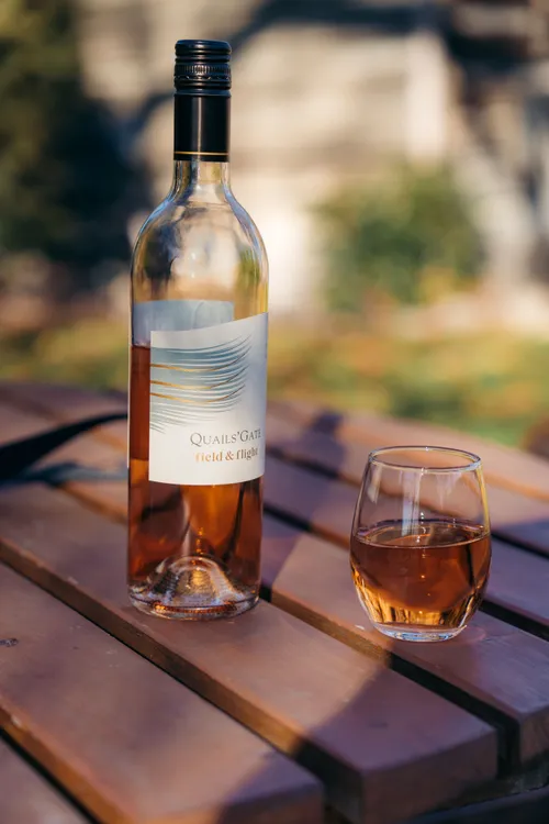 Winery behind the scenes photography