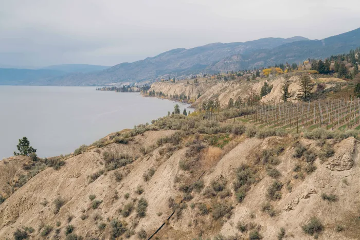 Terraced vineyard overlooking Okanagan Lake with mountains behind