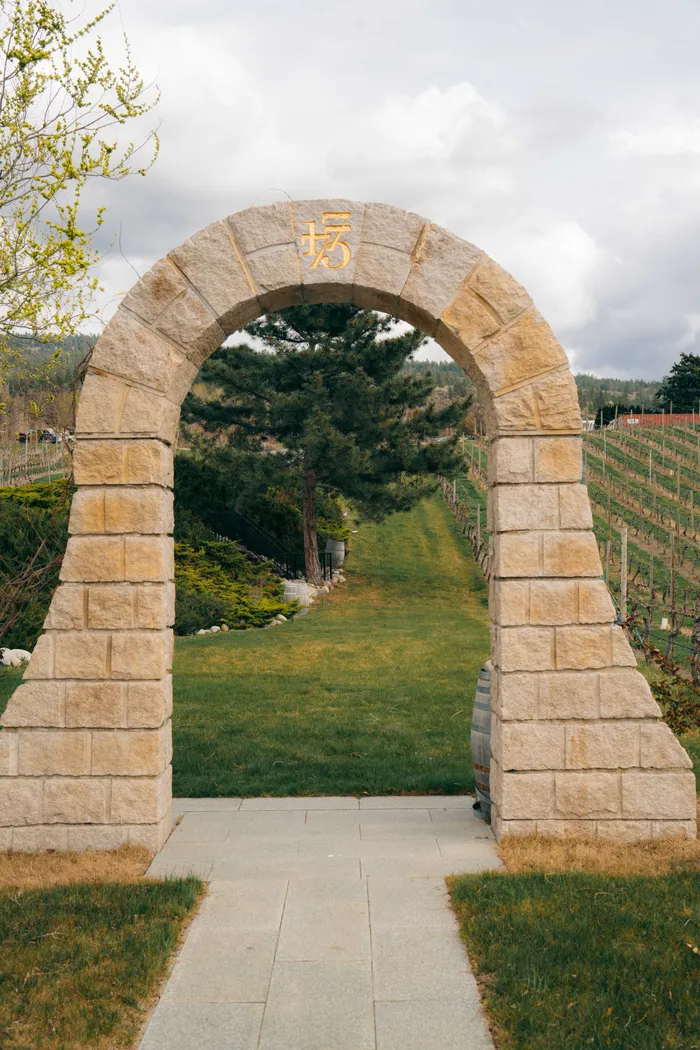 Vineyard pathway lined with grapevines near Penticton BC