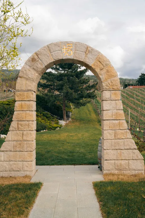 Okanagan winery vineyard photography