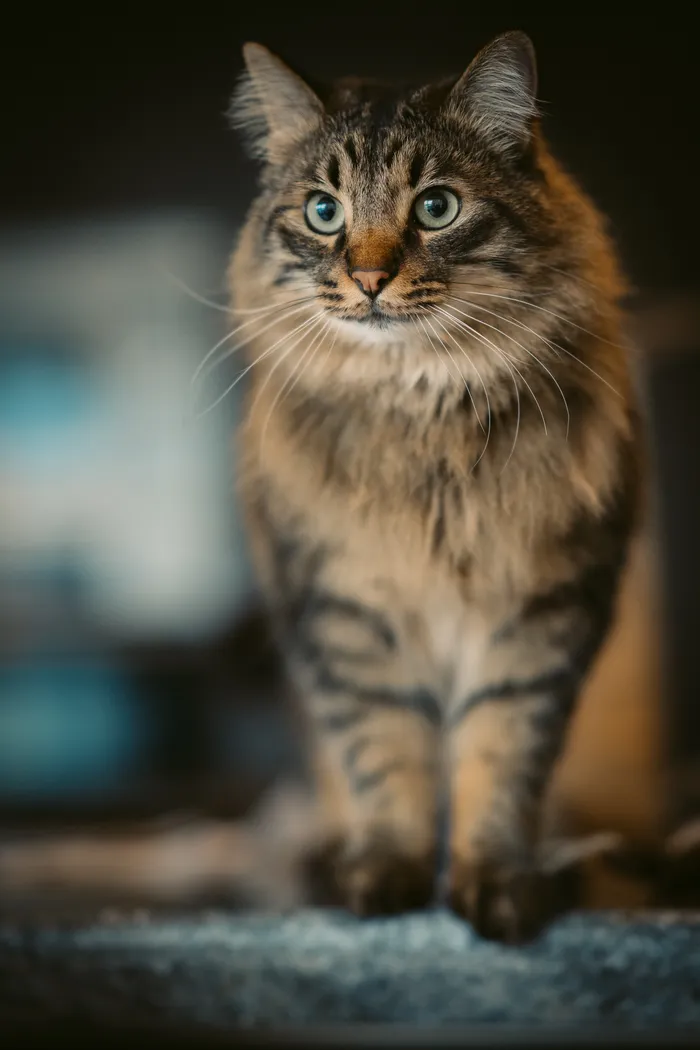 Portrait photography