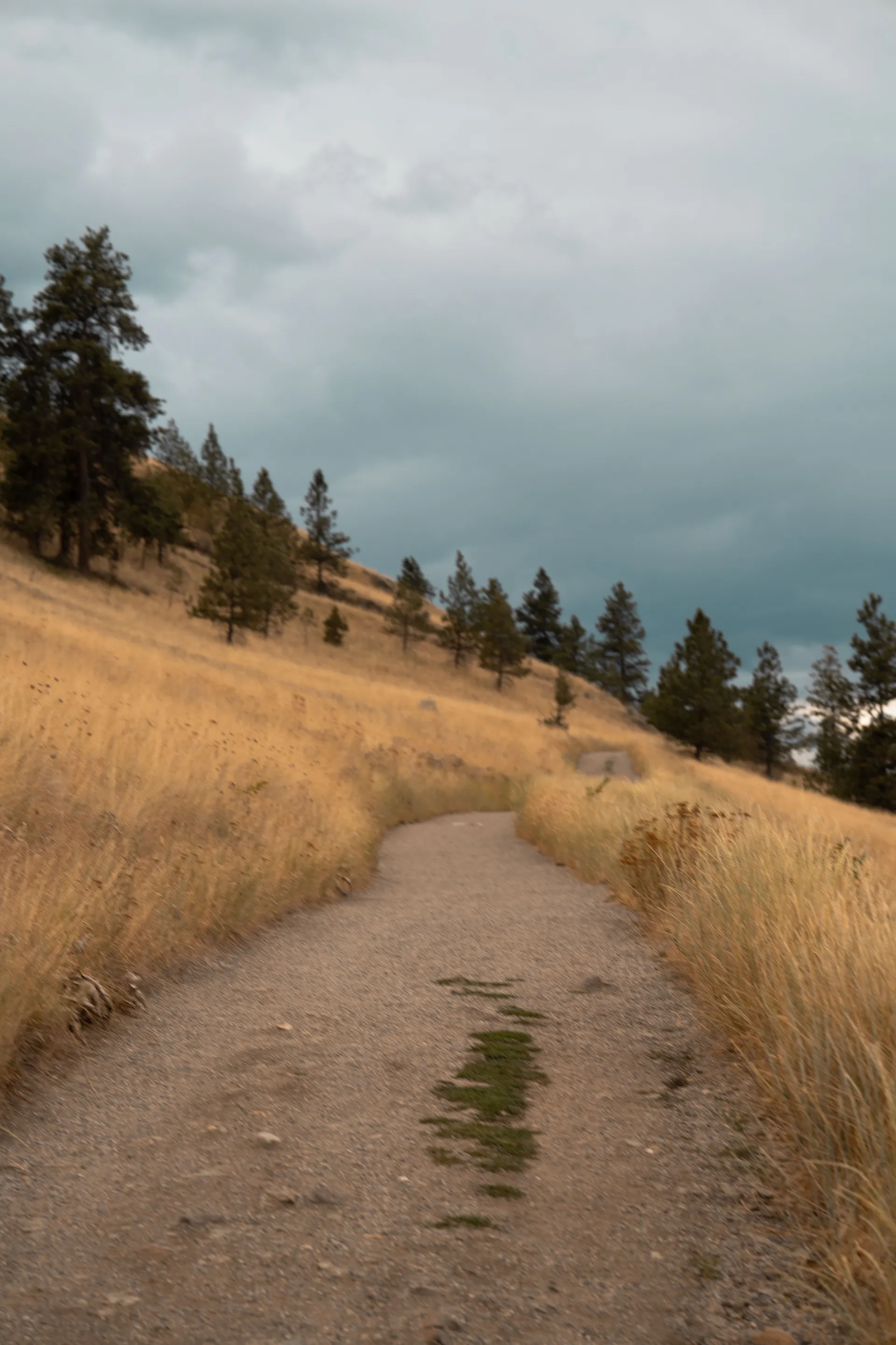 Paul's Tomb trail Kelowna BC open grassland and mountain landscape view