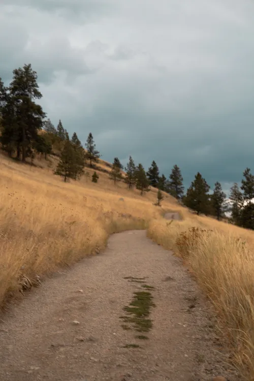 Knox Mountain and Paul's Tomb hiking Kelowna