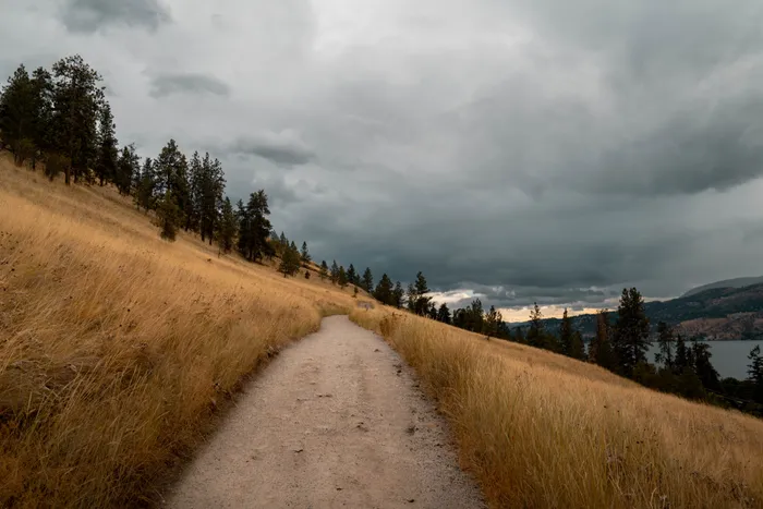Hiking trail Paul's Tomb Kelowna BC ponderosa pine