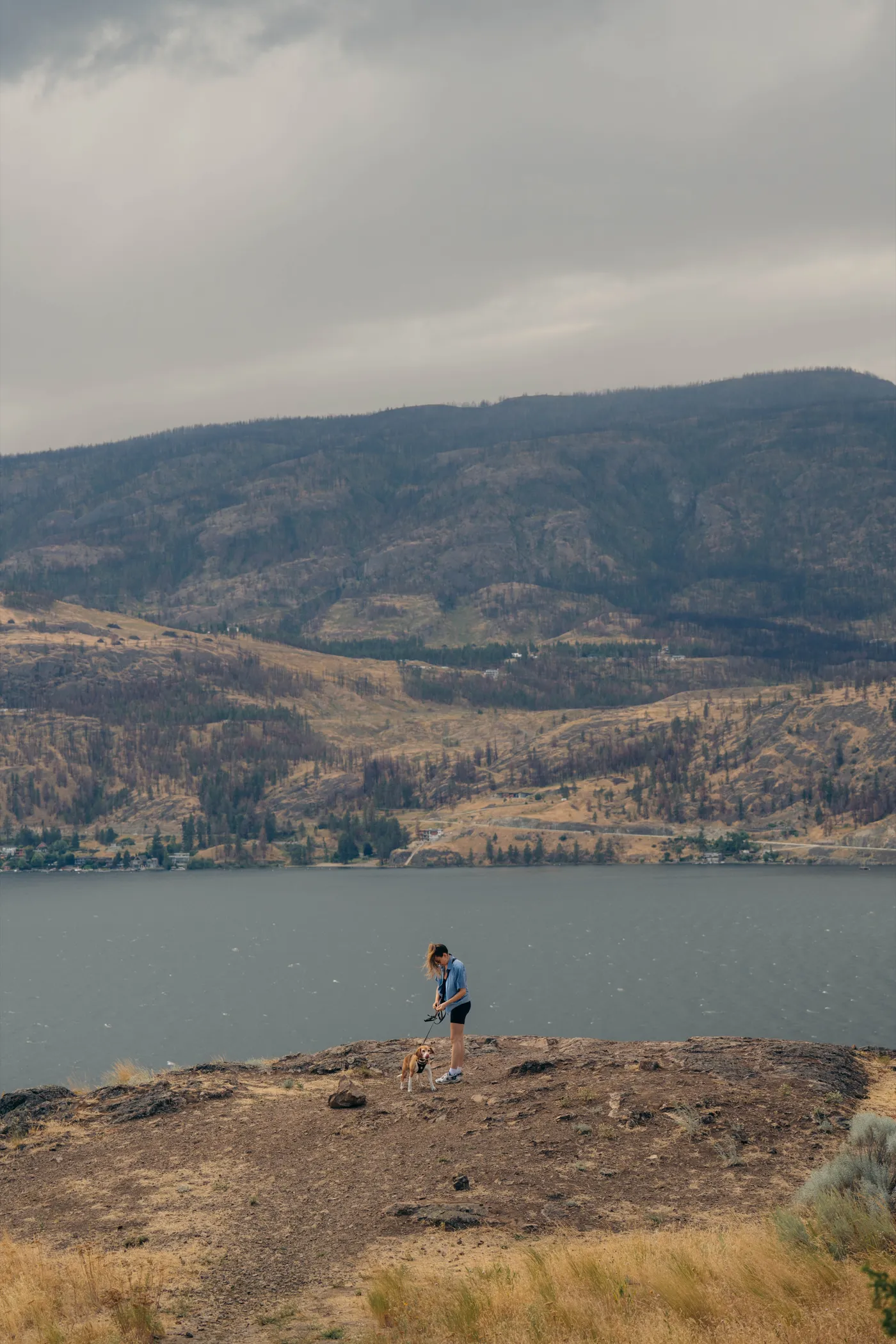 Knox Mountain Kelowna BC morning view Okanagan Lake landscape photography