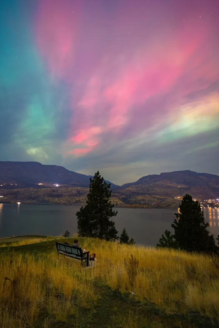 Northern lights over Okanagan lake with bench and trees Kelowna BC