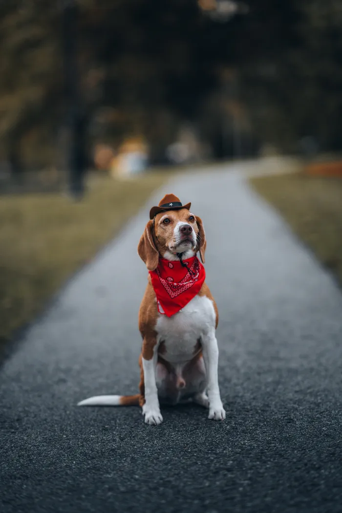 Portrait photography